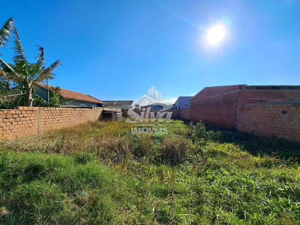 Terreno - Foto 4