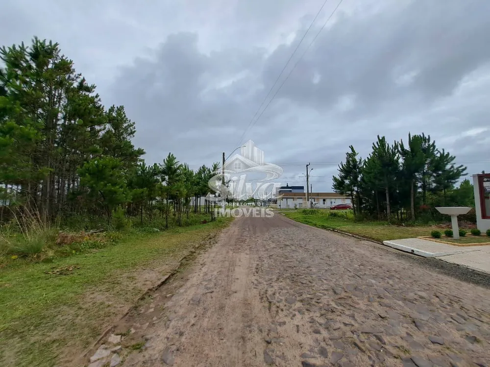 Terreno - Foto 4