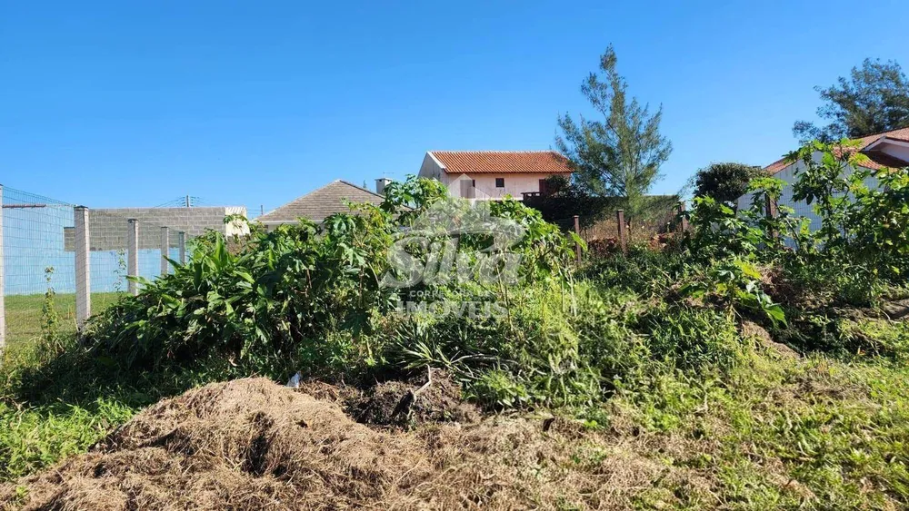 Terreno - Foto 4