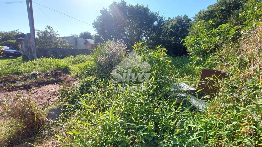 Terreno - Foto 2