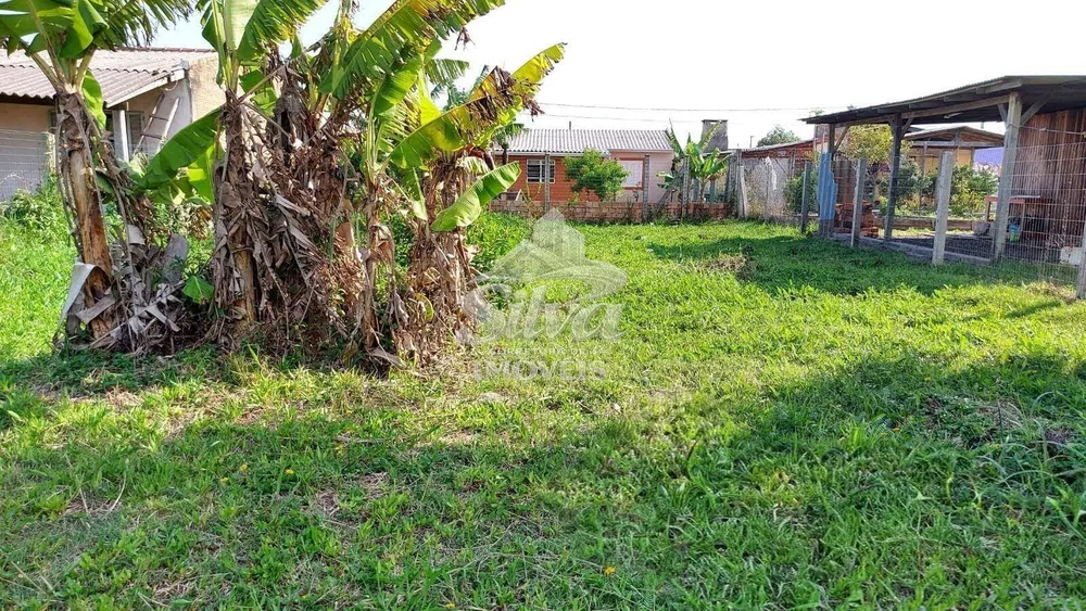 Terreno - Foto 2
