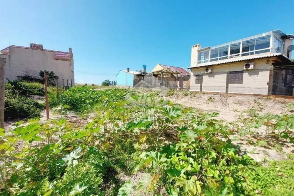 Terreno - Foto 1