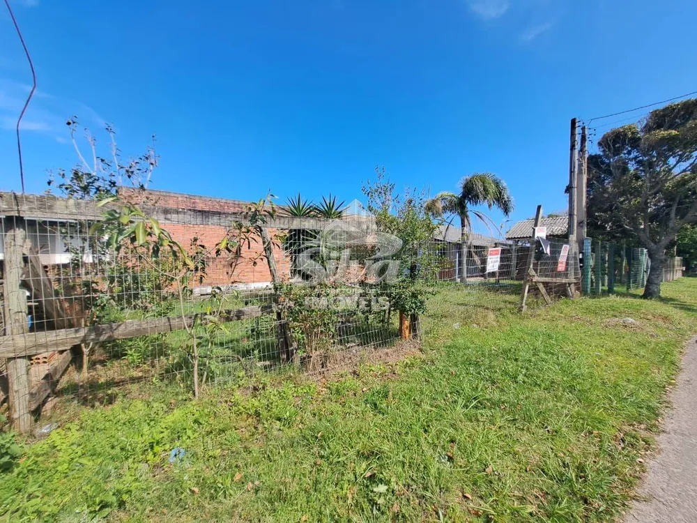 Terreno - Foto 4