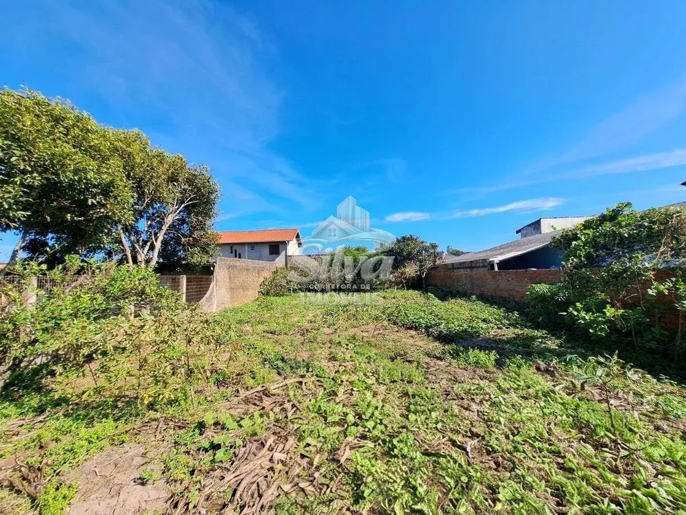 Terreno - Foto 4