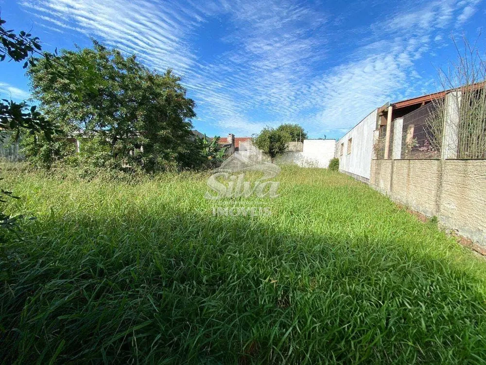 Terreno - Foto 4