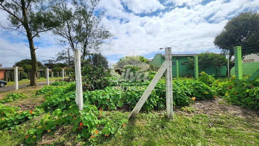 Terreno - Foto 2