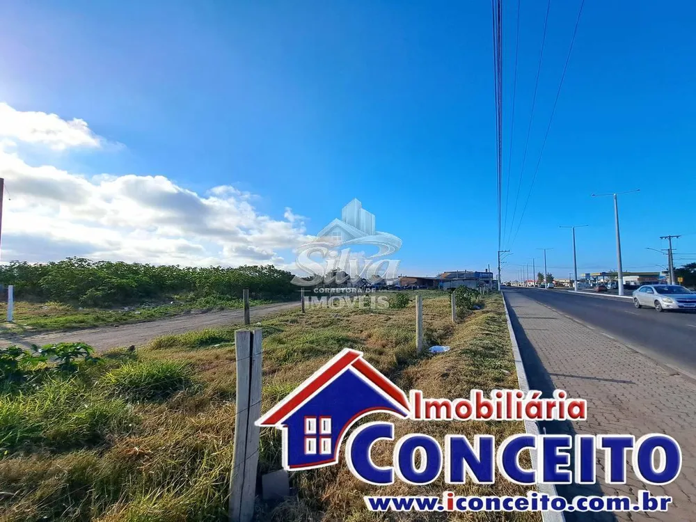 Terreno - Foto 4