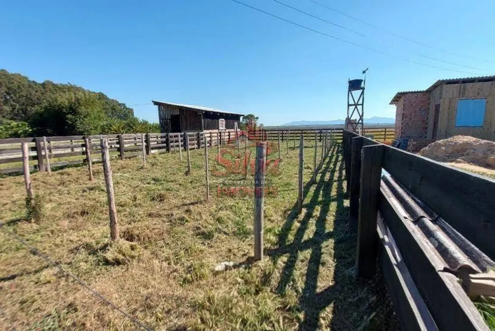 Terreno - Foto 5