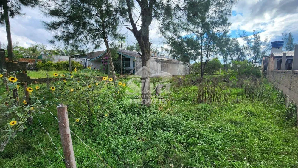 Terreno - Foto 2