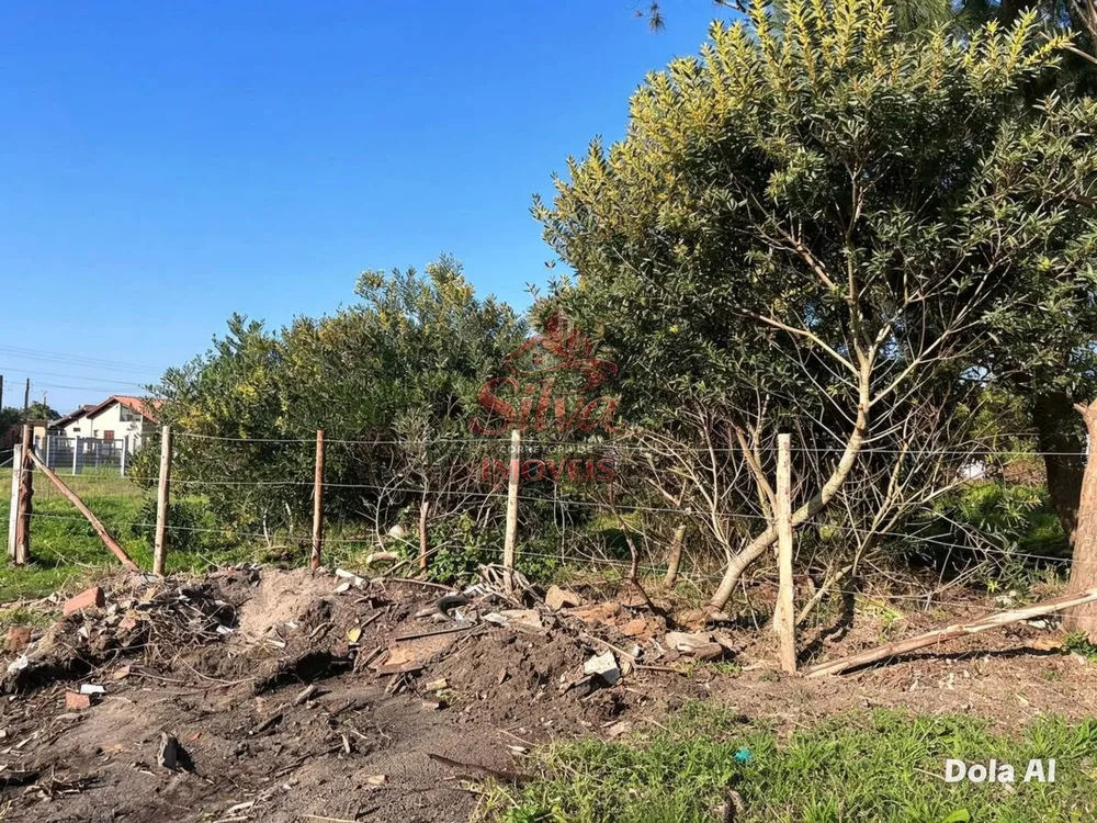 Terreno - Foto 3