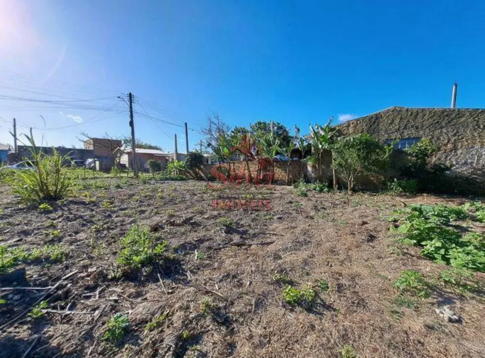 Terreno - Foto 6