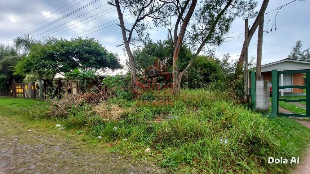 Terreno - Foto 3