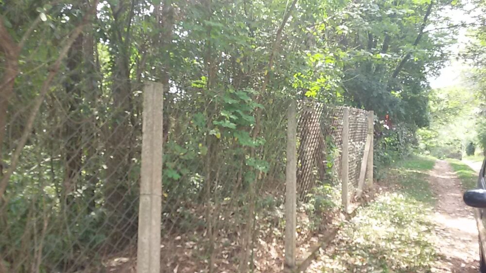 Terreno à venda, 3000m² - Foto 1