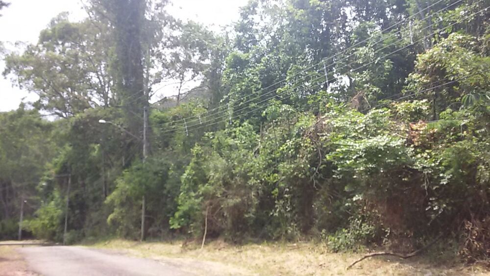 Terreno à venda, 3000m² - Foto 2