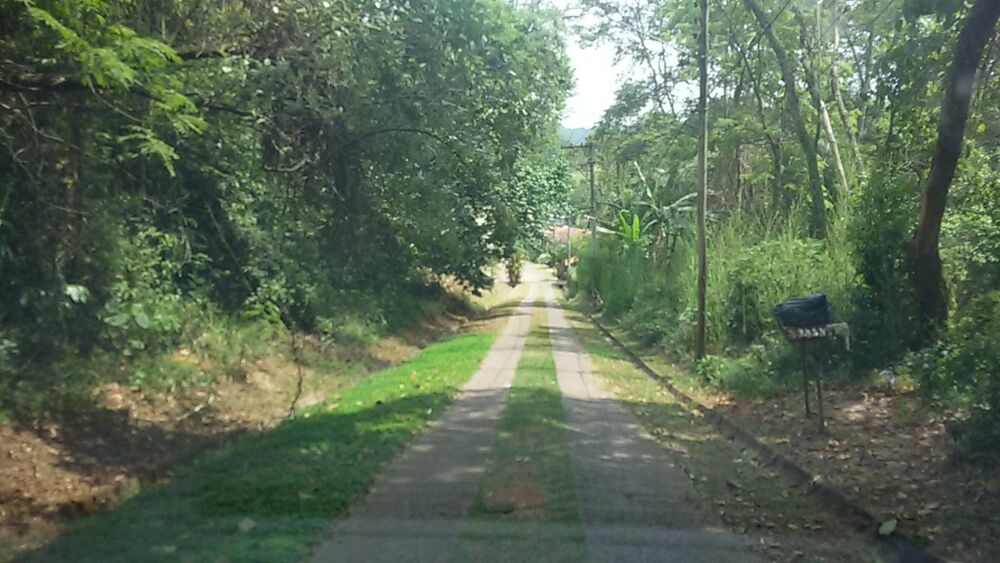 Terreno à venda, 3000m² - Foto 6