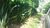 Terreno, 3000 m² - Foto 3