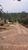 Terreno, 3000 m² - Foto 4