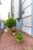Apartamento, 1 quarto, 40 m² - Foto 4