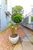 Apartamento, 1 quarto, 40 m² - Foto 5