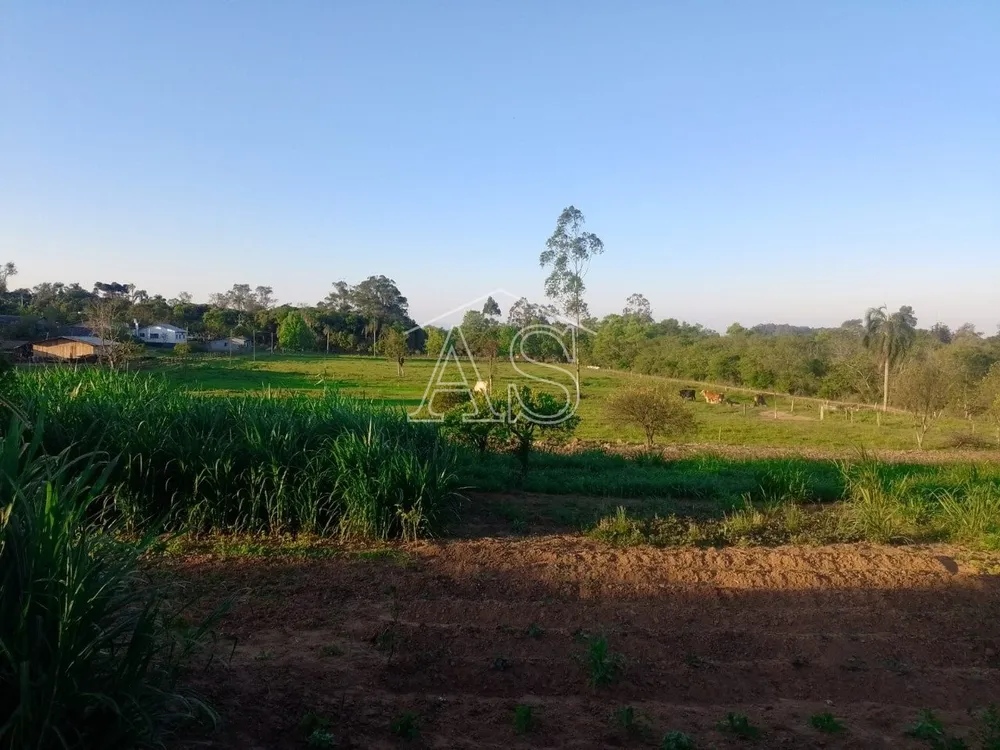Terreno, 6 hectares - Foto 1