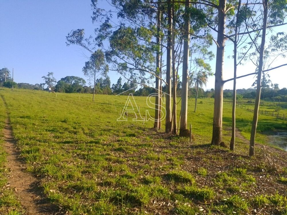 Terreno, 6 hectares - Foto 7