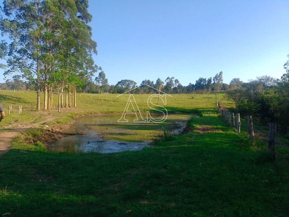 Terreno, 6 hectares - Foto 6