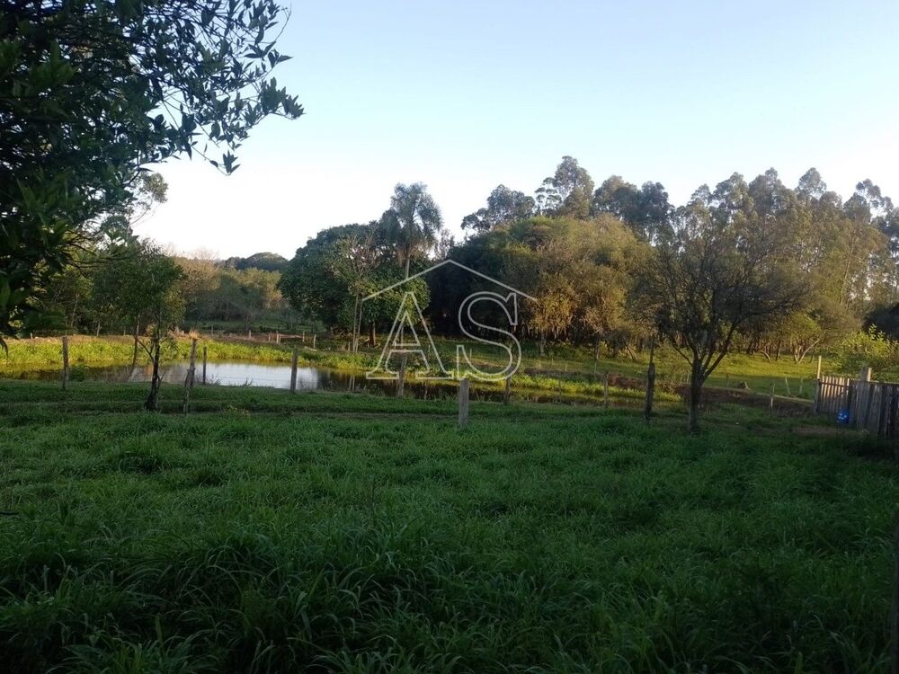 Terreno, 6 hectares - Foto 3