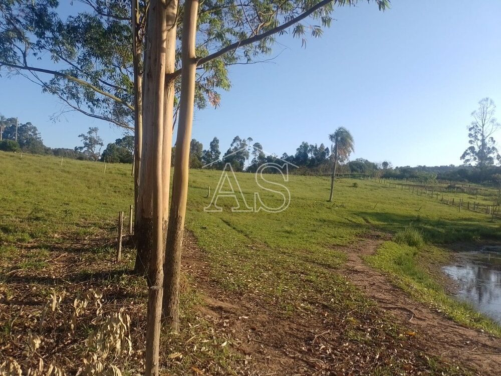 Terreno, 6 hectares - Foto 8