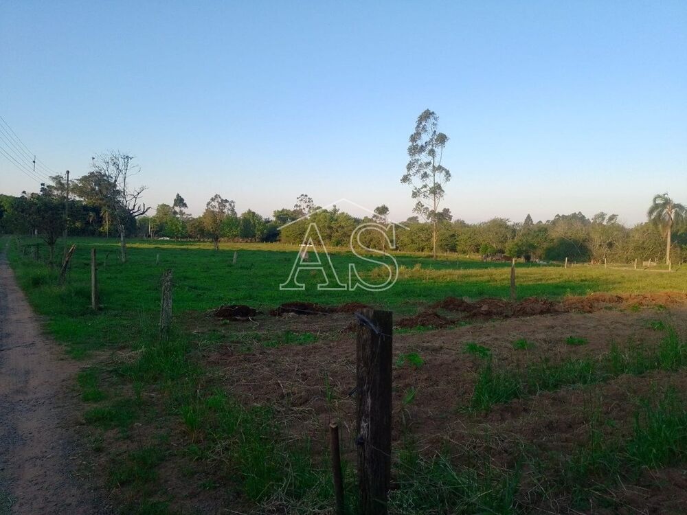Terreno, 6 hectares - Foto 4