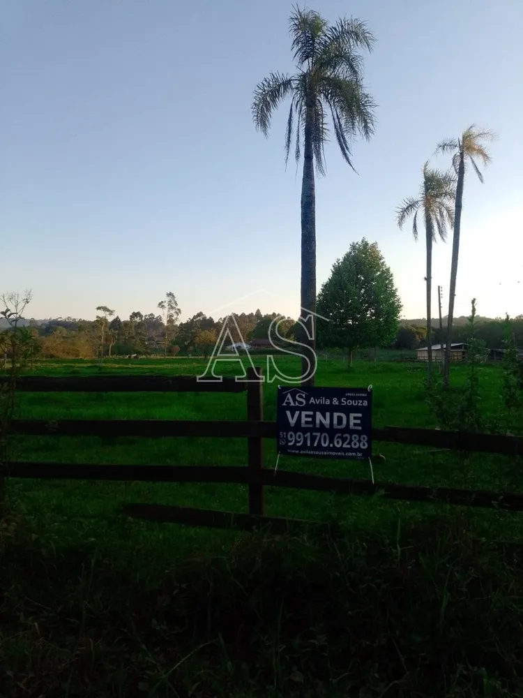 Terreno, 6 hectares - Foto 7
