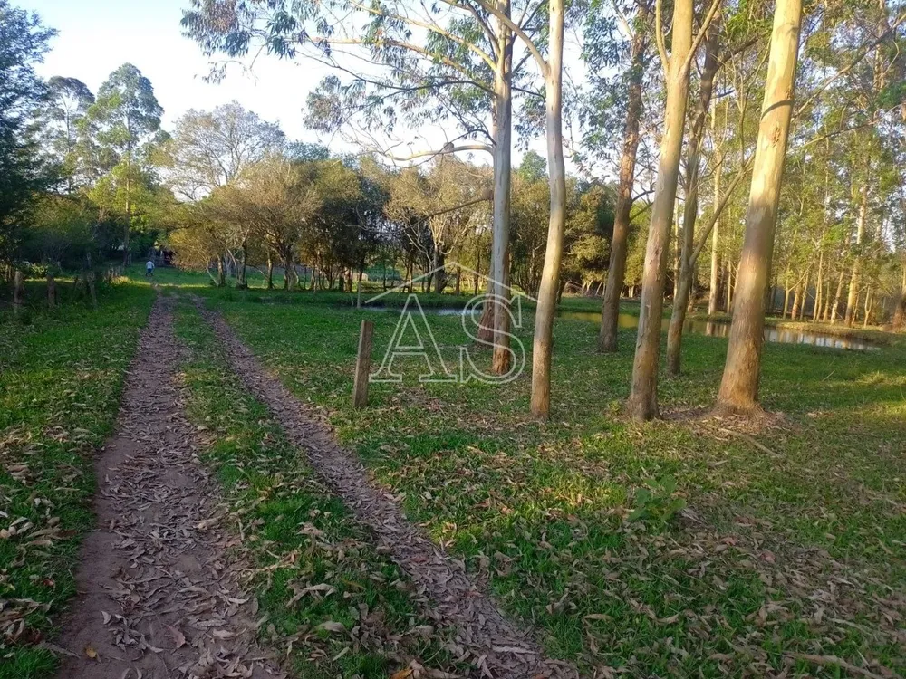 Terreno, 6 hectares - Foto 13