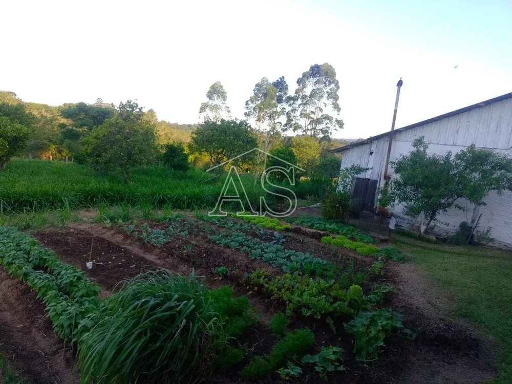 Terreno, 6 hectares - Foto 3