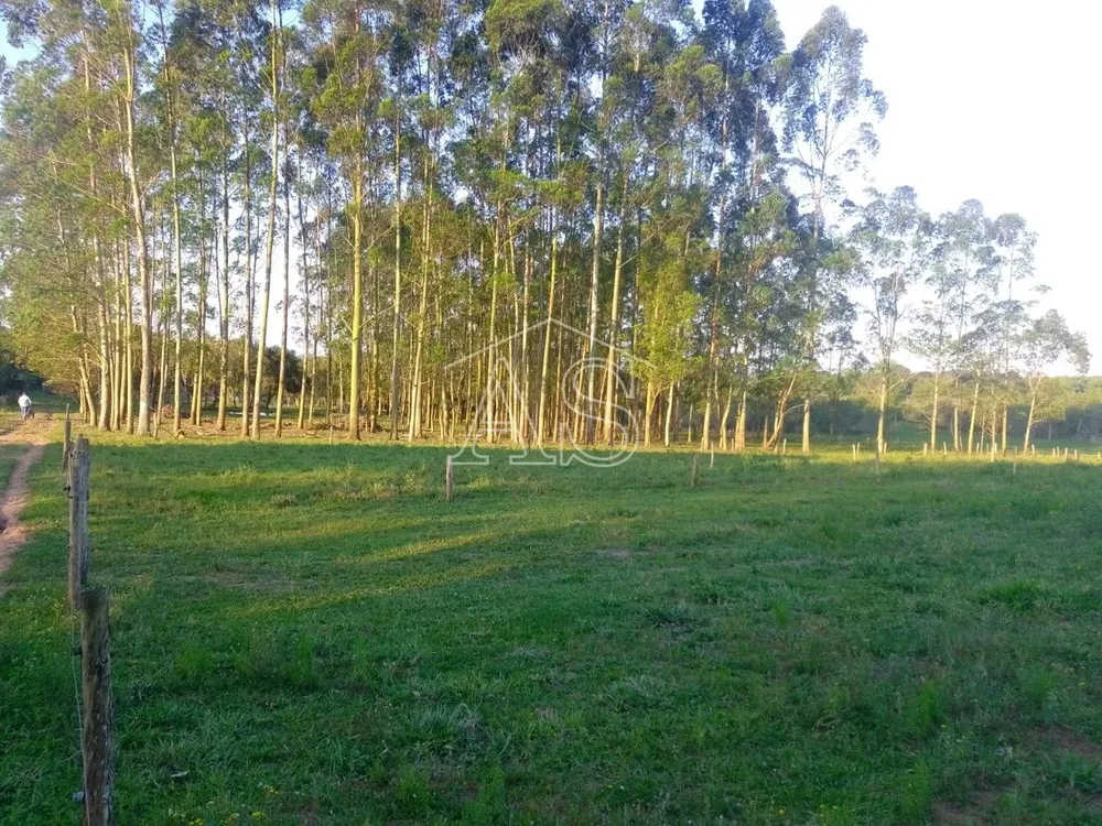 Terreno, 6 hectares - Foto 15