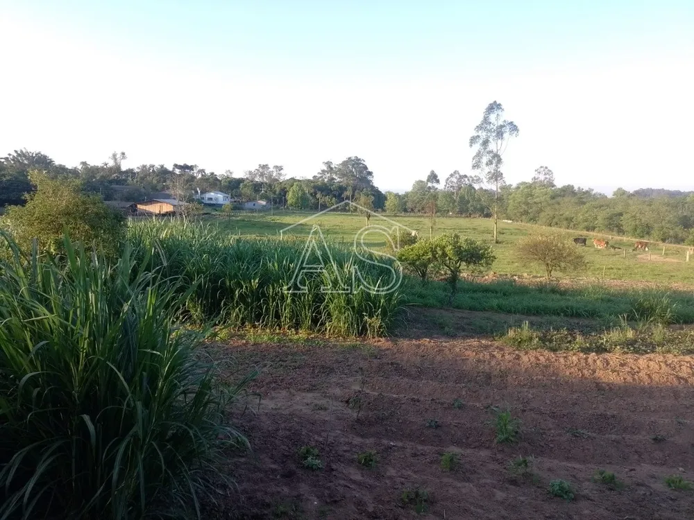 Terreno, 6 hectares - Foto 11