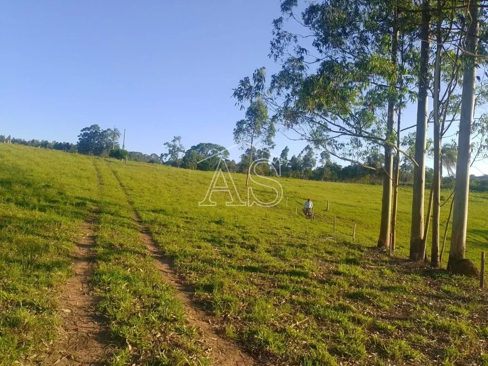 Terreno, 6 hectares - Foto 16