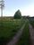 Terreno, 6 hectares - Foto 3