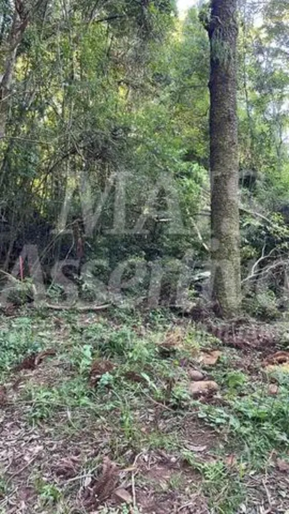 Terreno, 4 m² - Foto 7