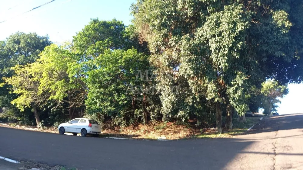 Terreno - Foto 2