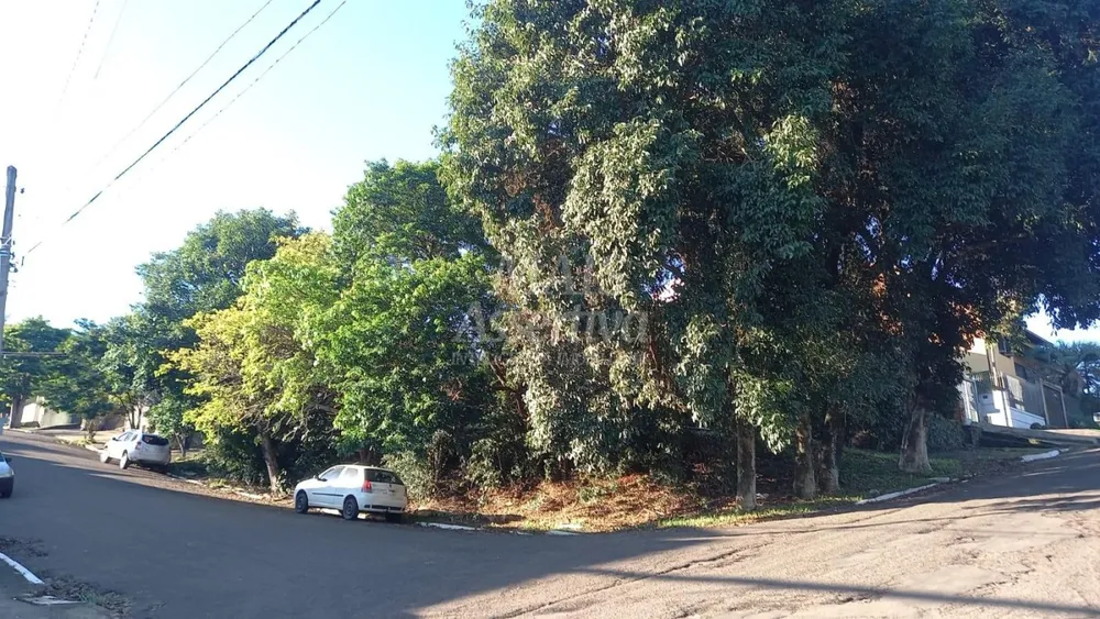 Terreno - Foto 5