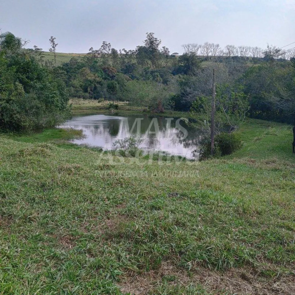Sítio, 3 quartos, 3 hectares - Foto 9