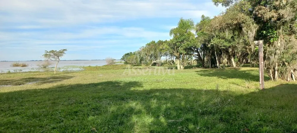 Sítio, 3 quartos, 3 hectares - Foto 4