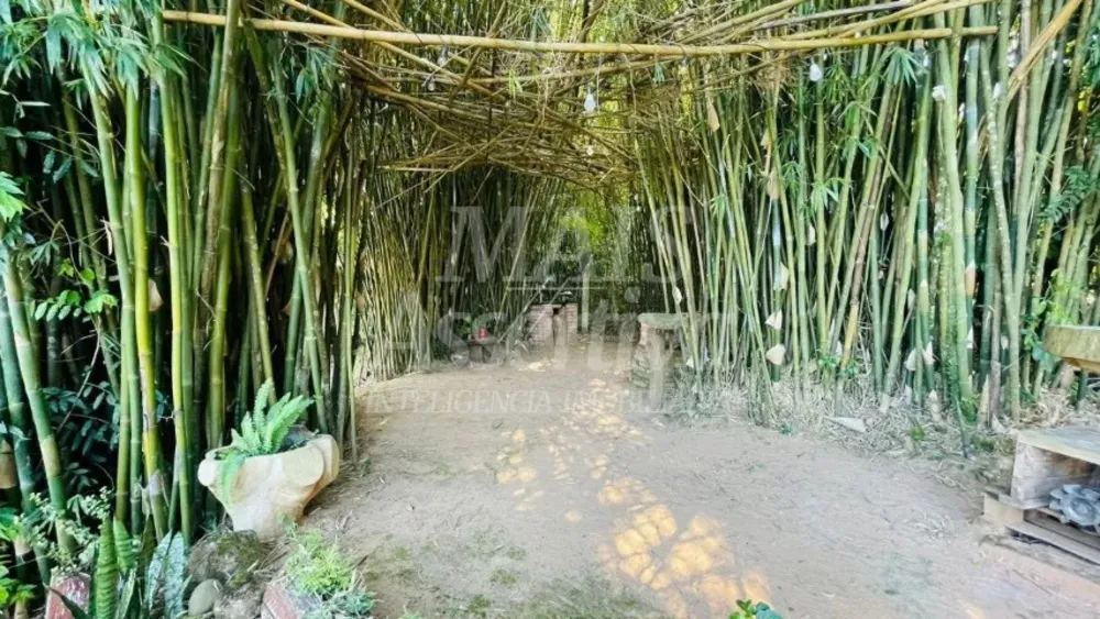 Sítio, 2 quartos, 3600 m² - Foto 6