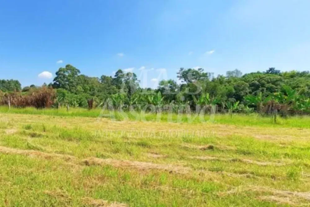 Sítio, 2 quartos, 2 hectares - Foto 7