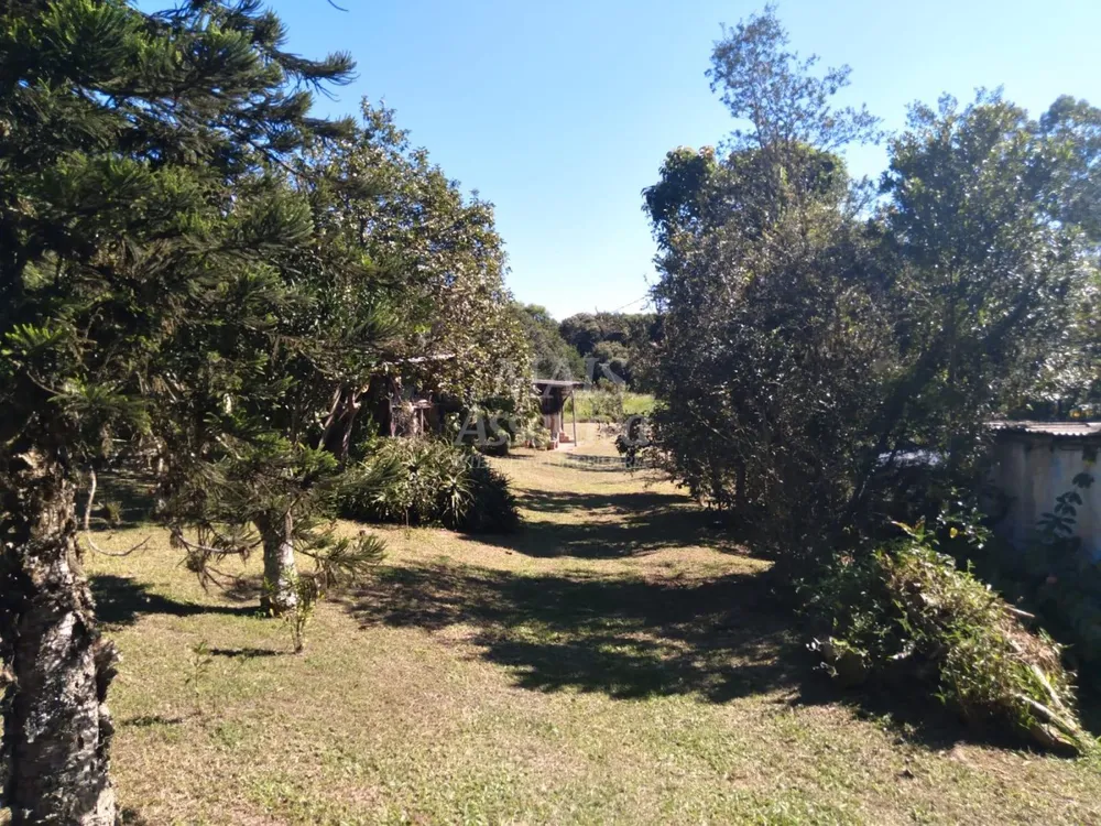 Sítio, 2 quartos, 2 hectares - Foto 4