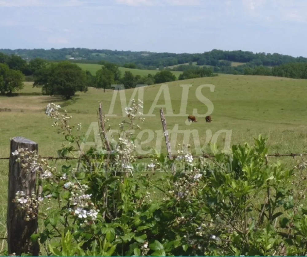 Fazenda, 8 hectares - Foto 1