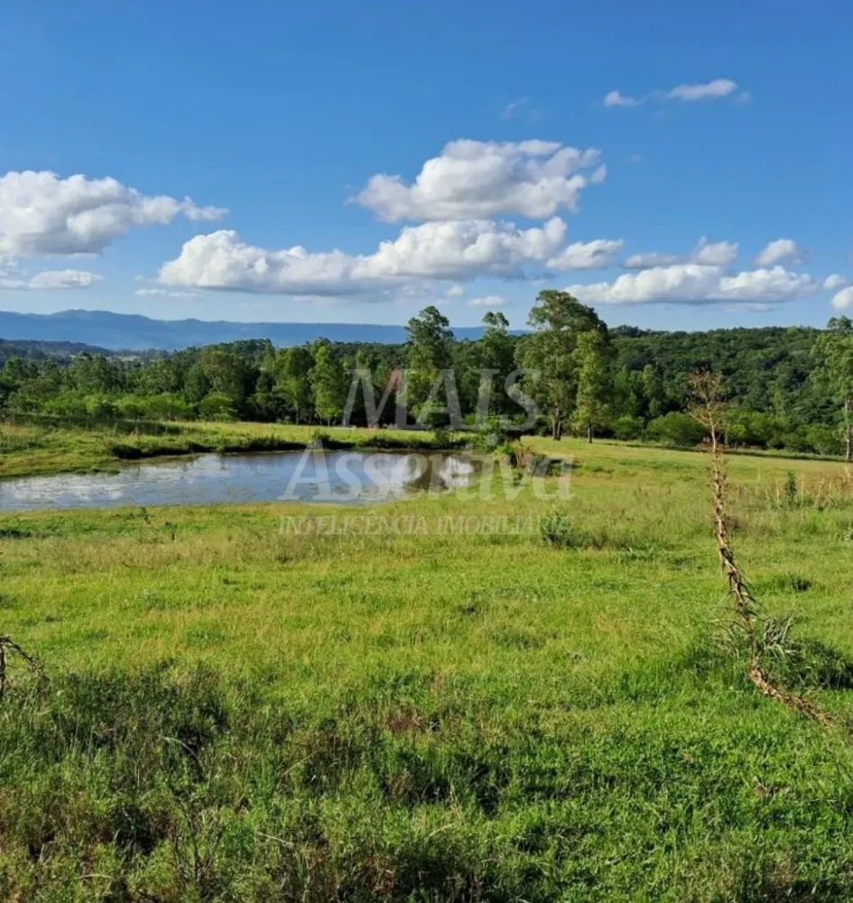 Terreno, 57 hectares - Foto 6