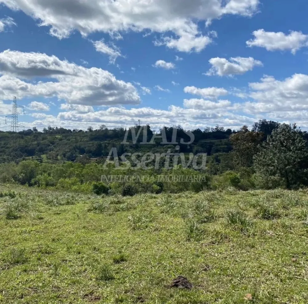 Terreno, 57 hectares - Foto 3