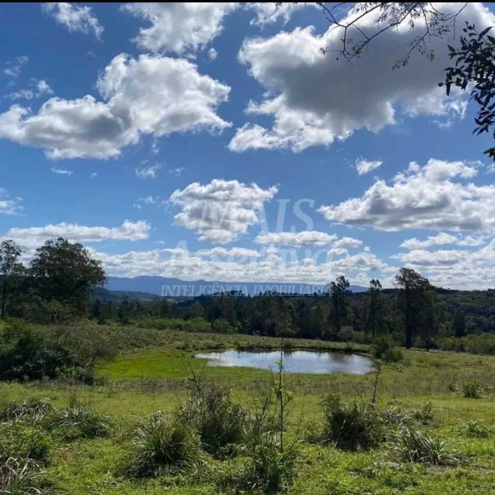 Terreno, 57 hectares - Foto 4
