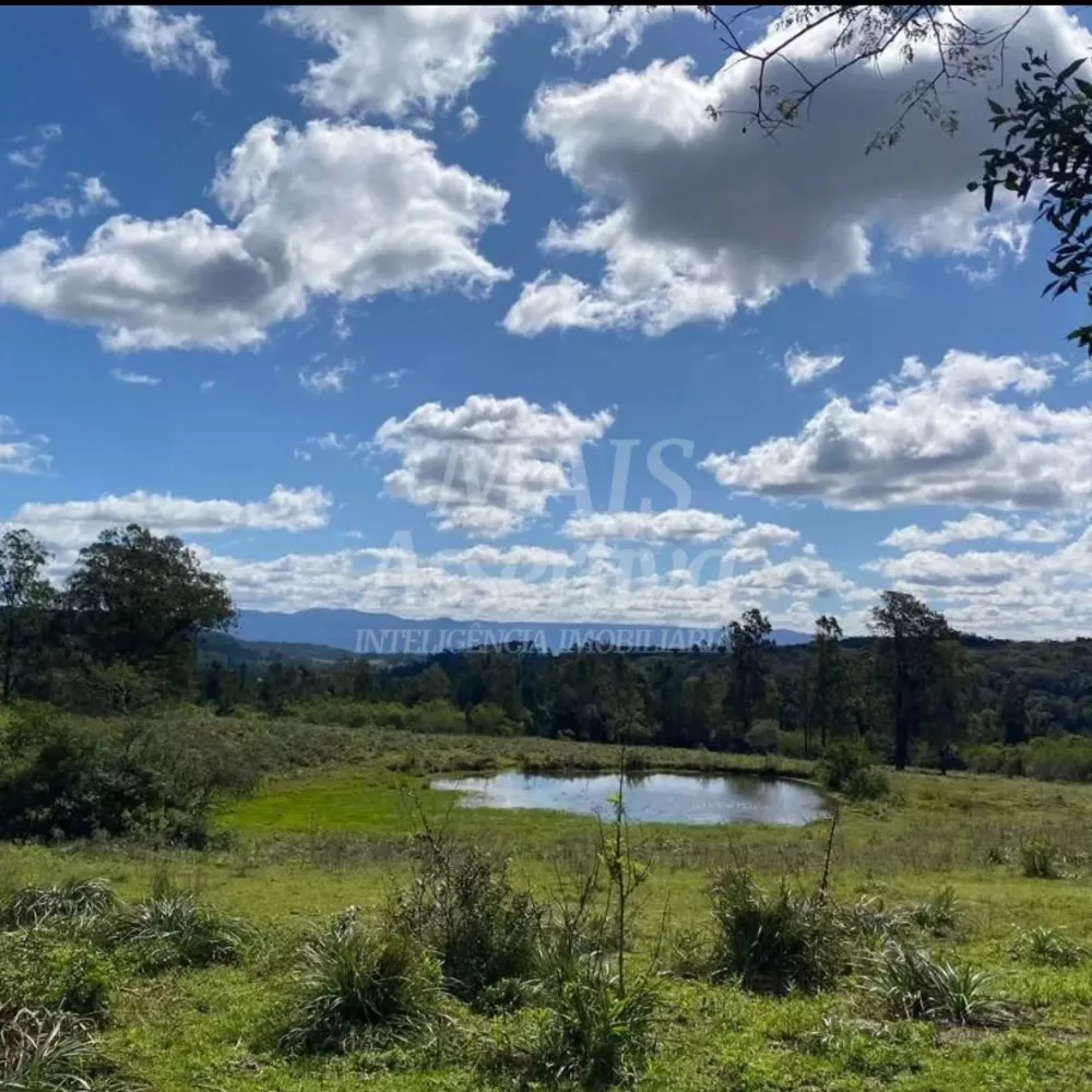 Terreno, 57 hectares - Foto 3