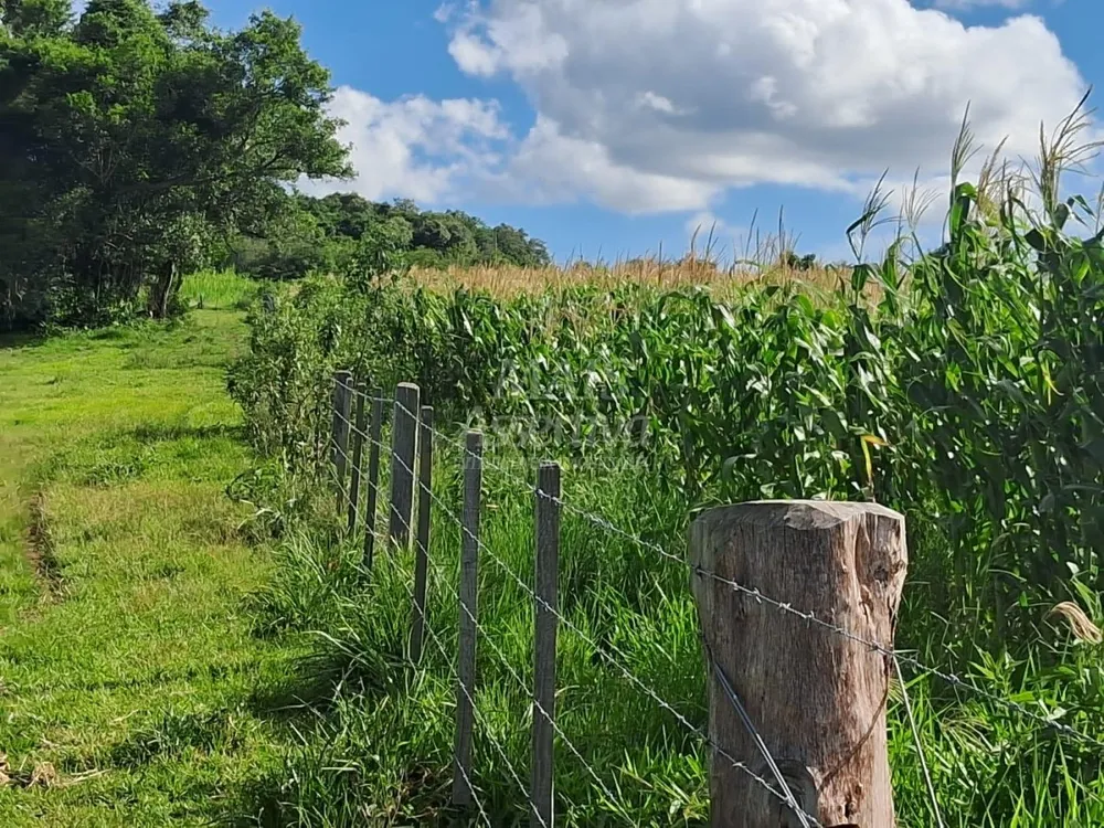 Terreno, 57 hectares - Foto 8